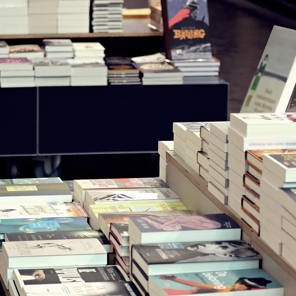 Salon du livre : "Aubance au fil des mots"